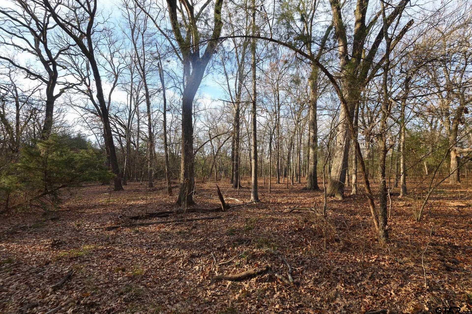 288 acres in Lamar County - photo 32