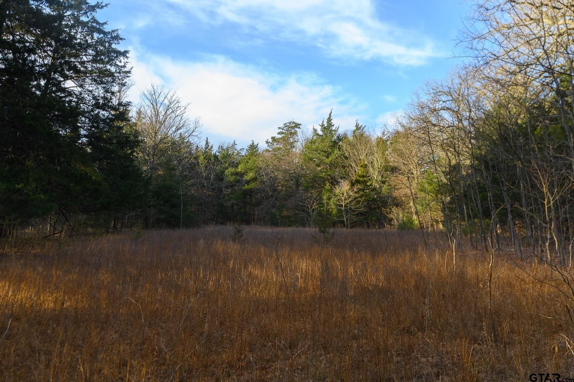 288 acres in Lamar County - photo 35