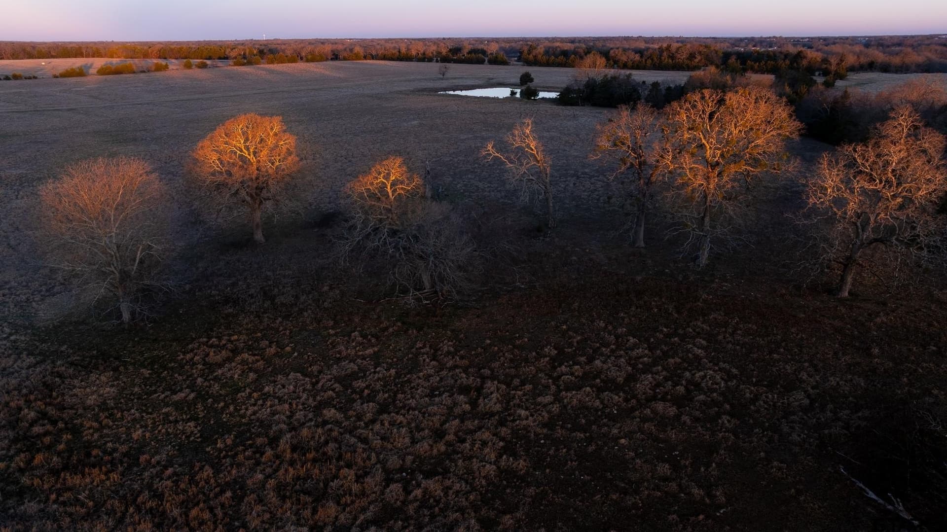 288 acres in Lamar County - photo 2