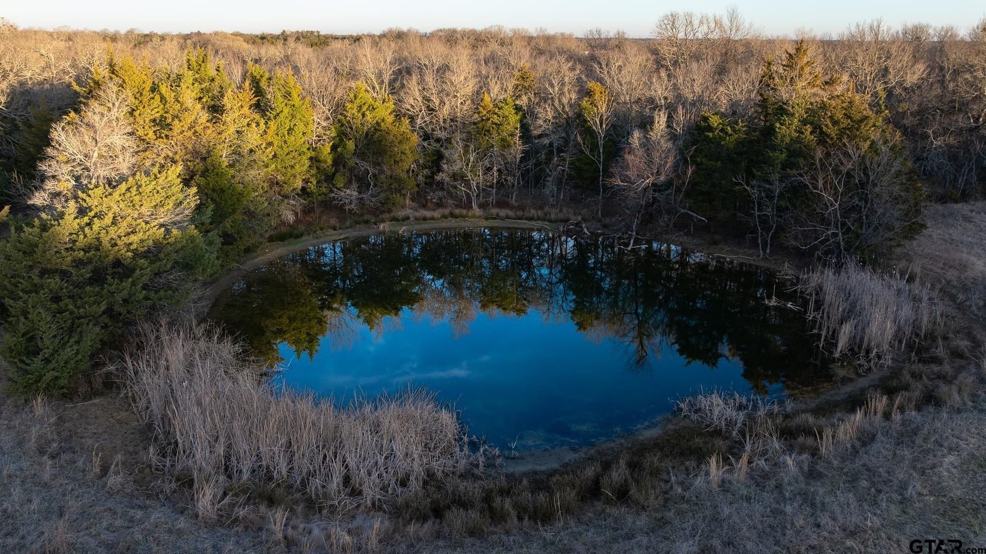 288 acres in Lamar County - photo 42
