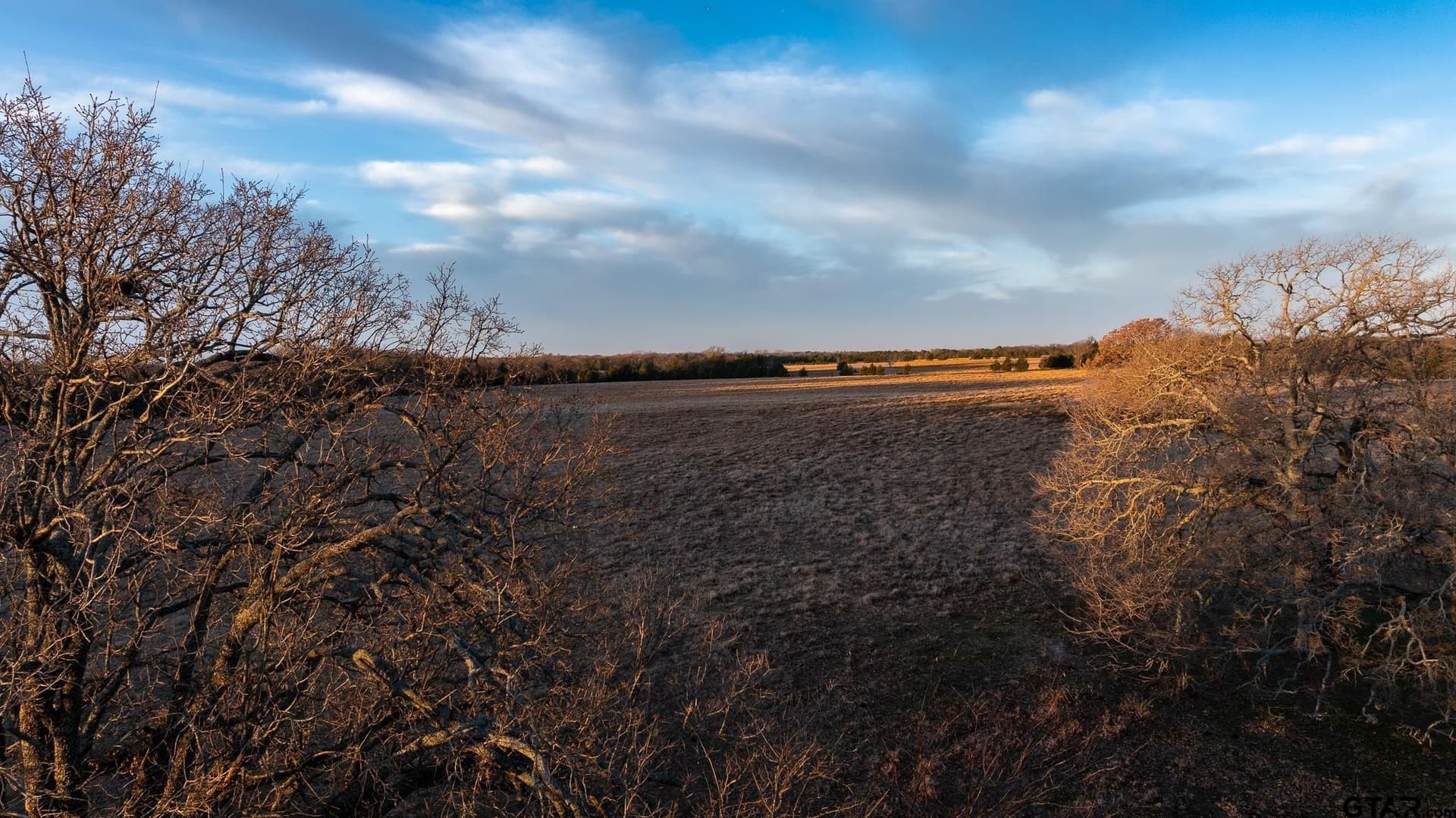 288 acres in Lamar County - photo 9