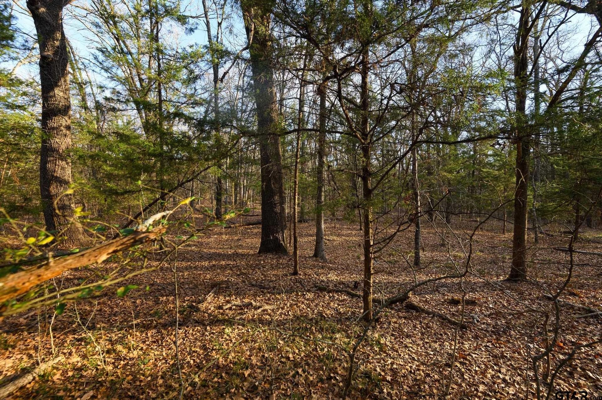 288 acres in Lamar County - photo 36