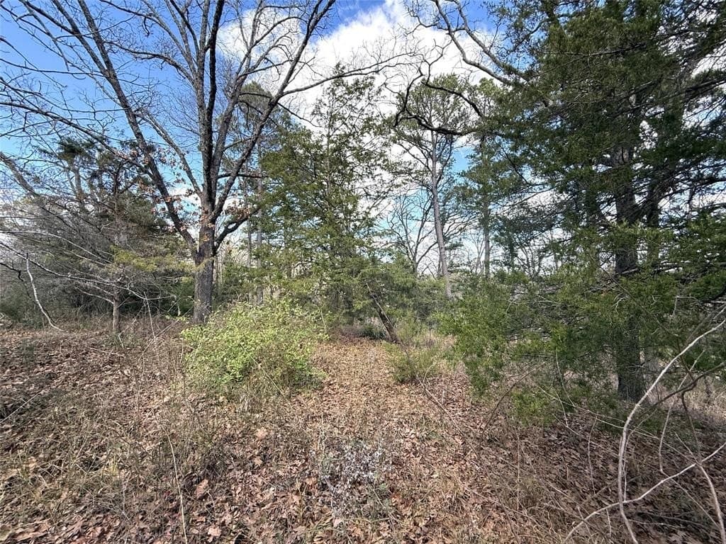 0.79 acres in Smith County - photo 4