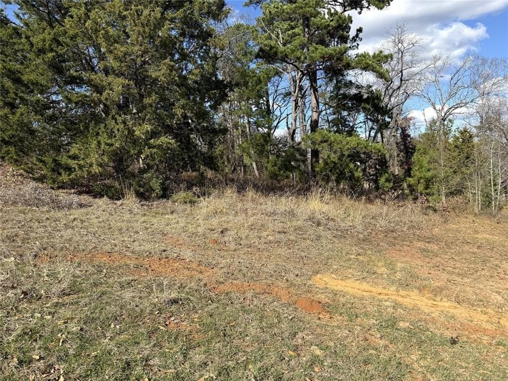 0.79 acres in Smith County - photo 2