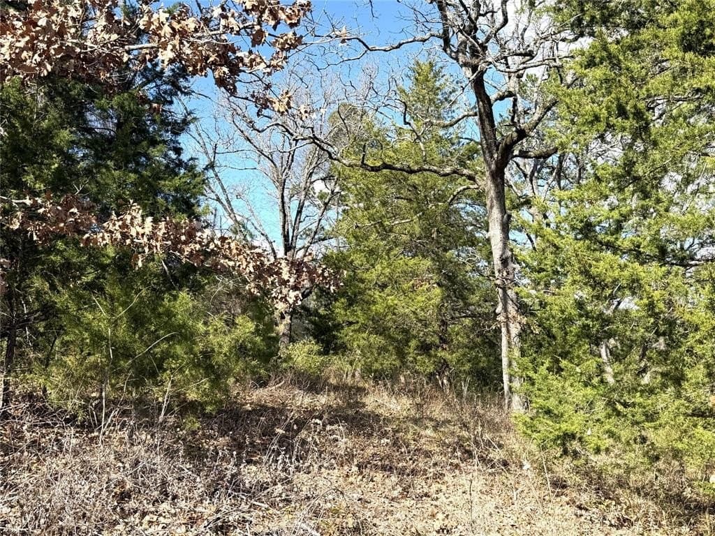 0.79 acres in Smith County - photo 3