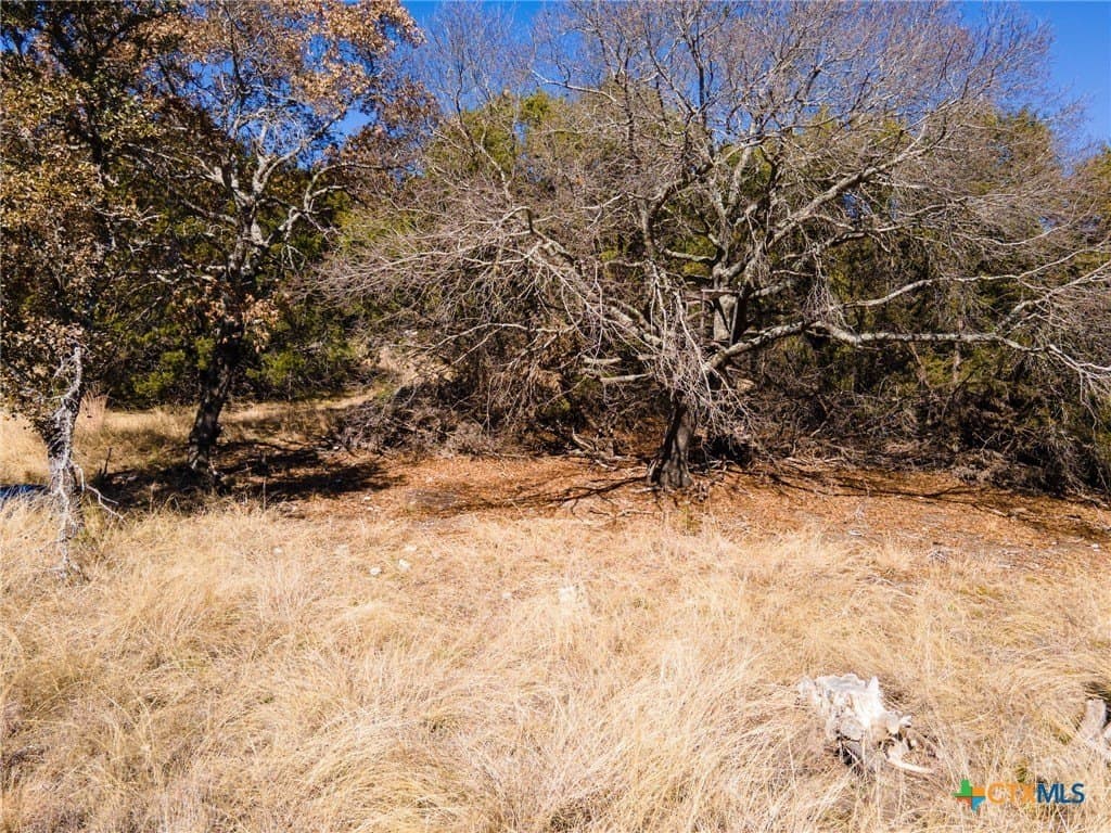 10.11 acres in Lampasas County - photo 13