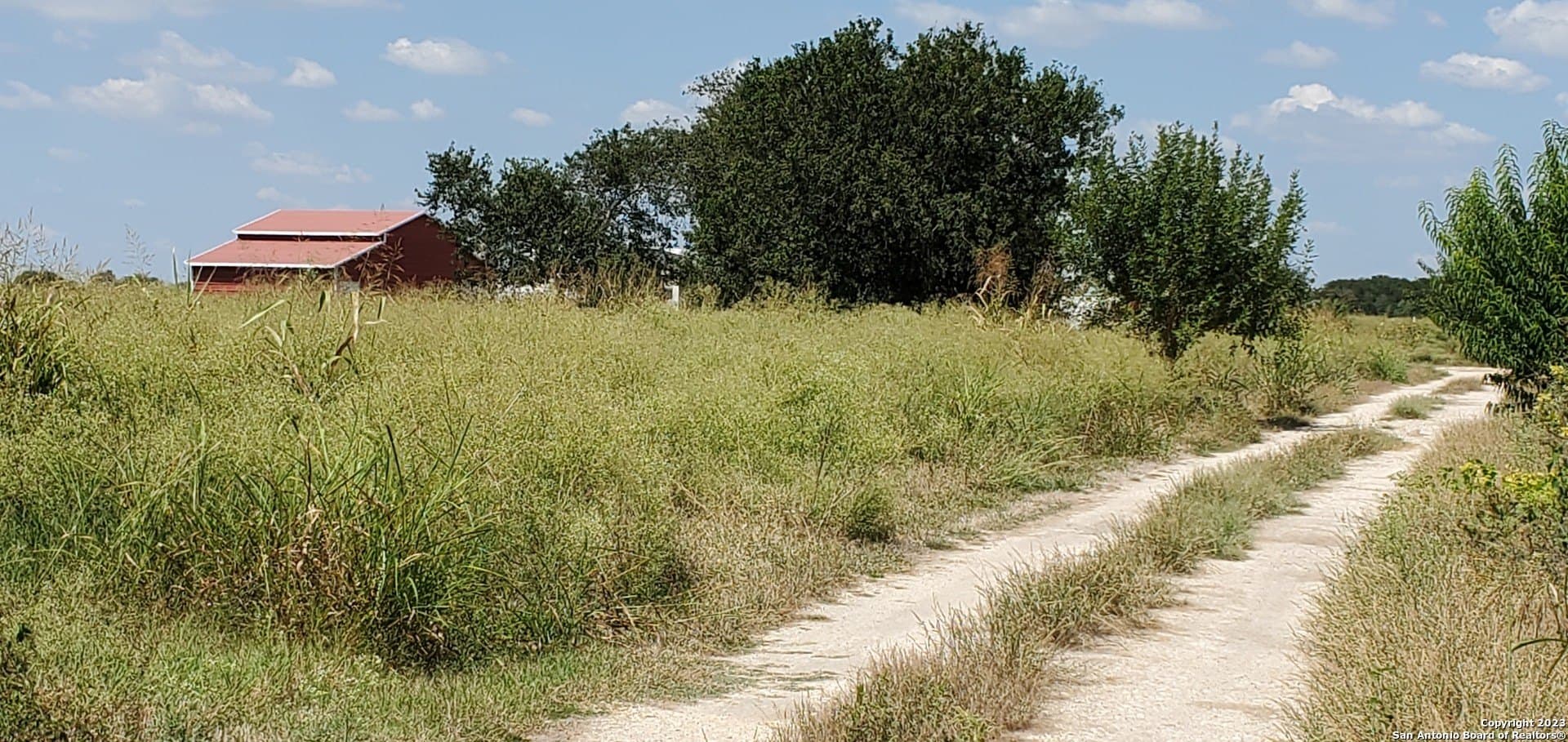 0 acres in Guadalupe County - photo 10