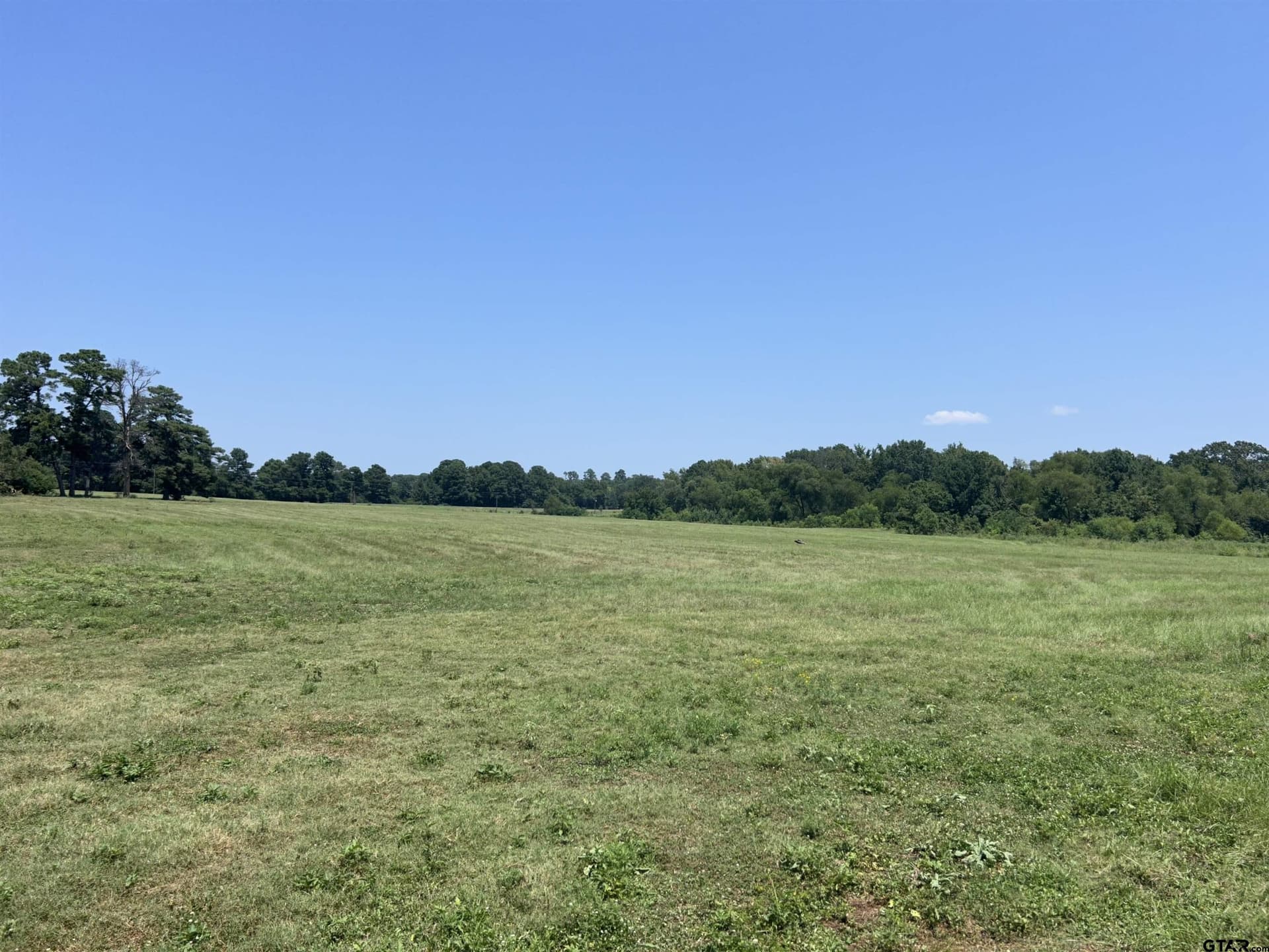 41 acres in Smith County - photo 2