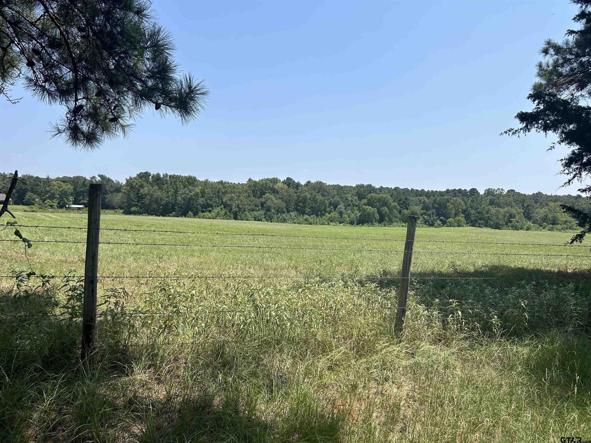 41 acres in Smith County - photo 14