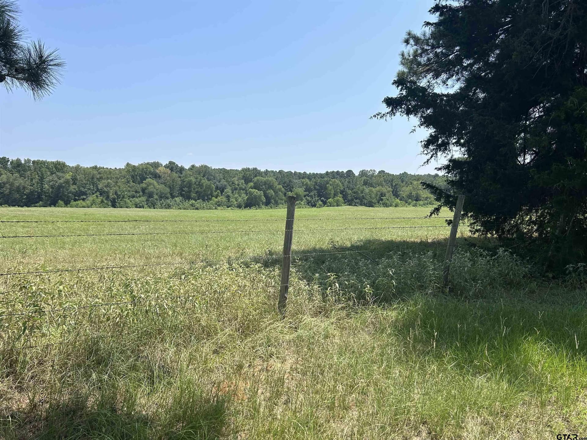 41 acres in Smith County - photo 6