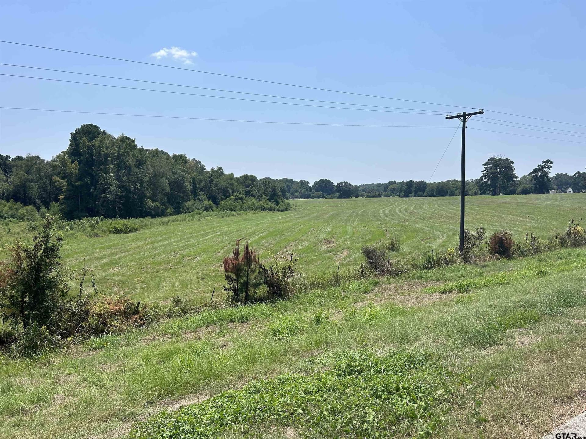 41 acres in Smith County - photo 15