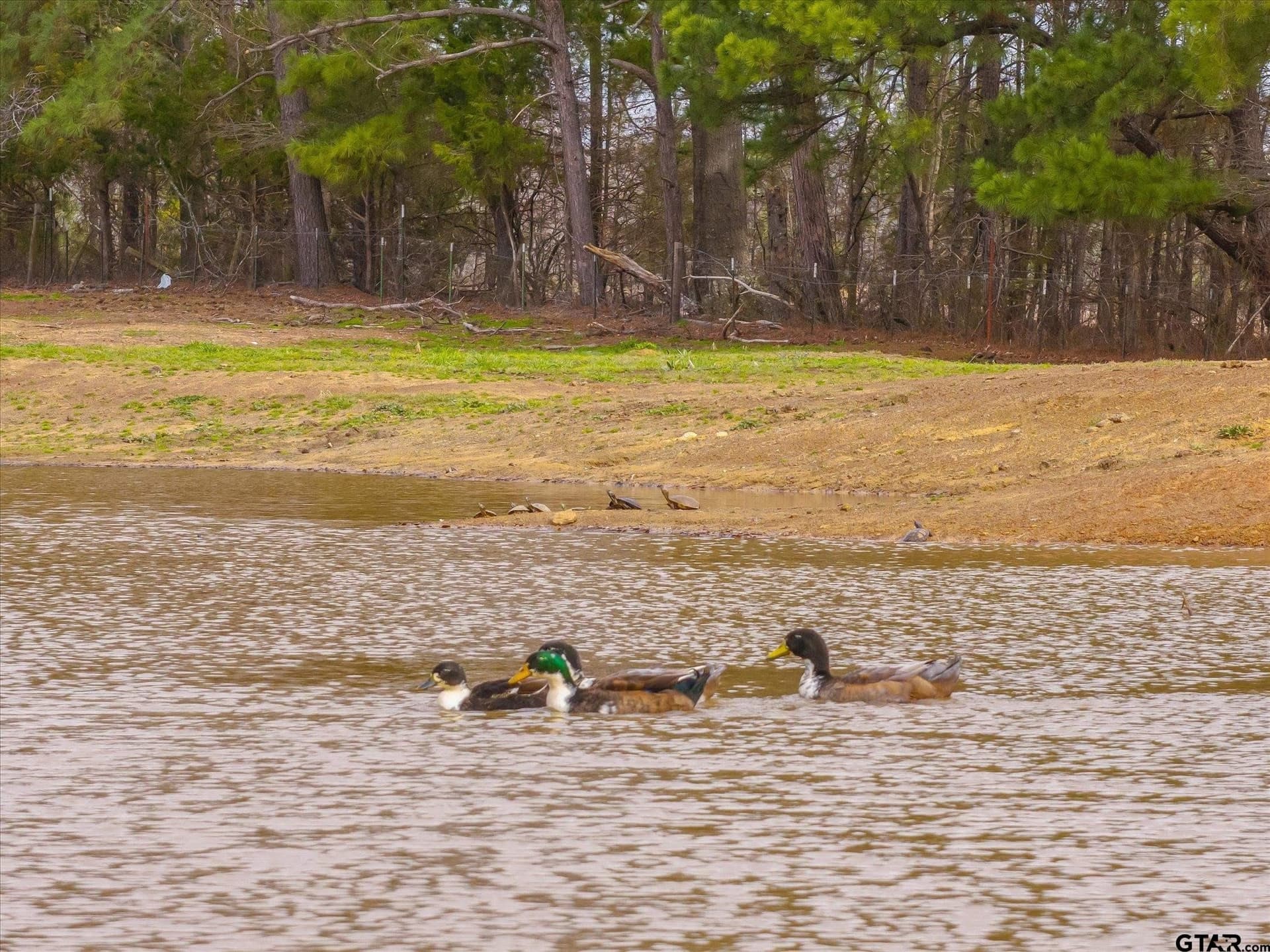 9.85 acres in Upshur County - photo 8