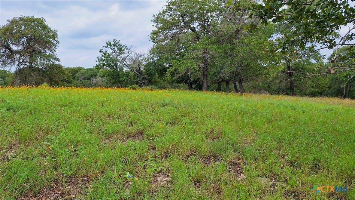 5 acres in Gonzales County - photo 3