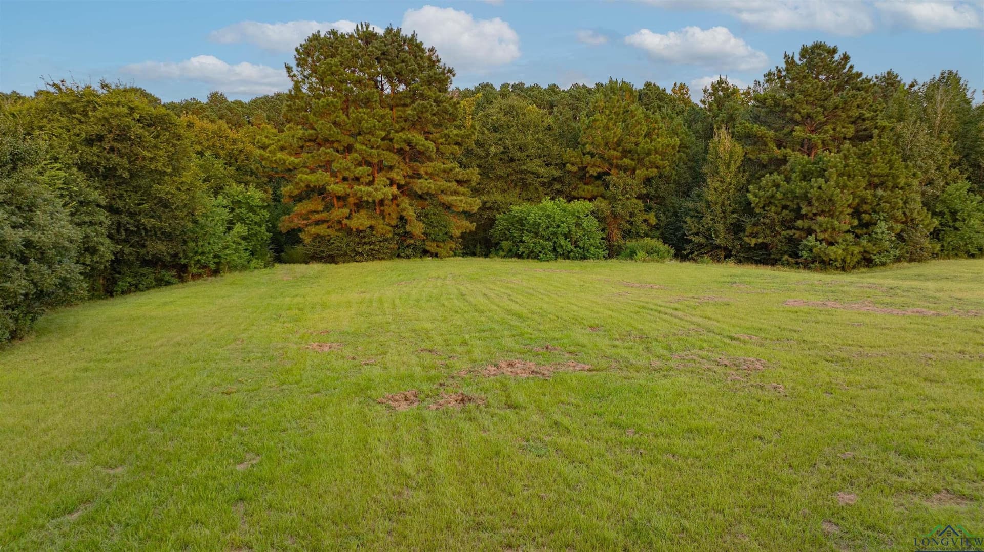 22.17 acres in Panola County - photo 36