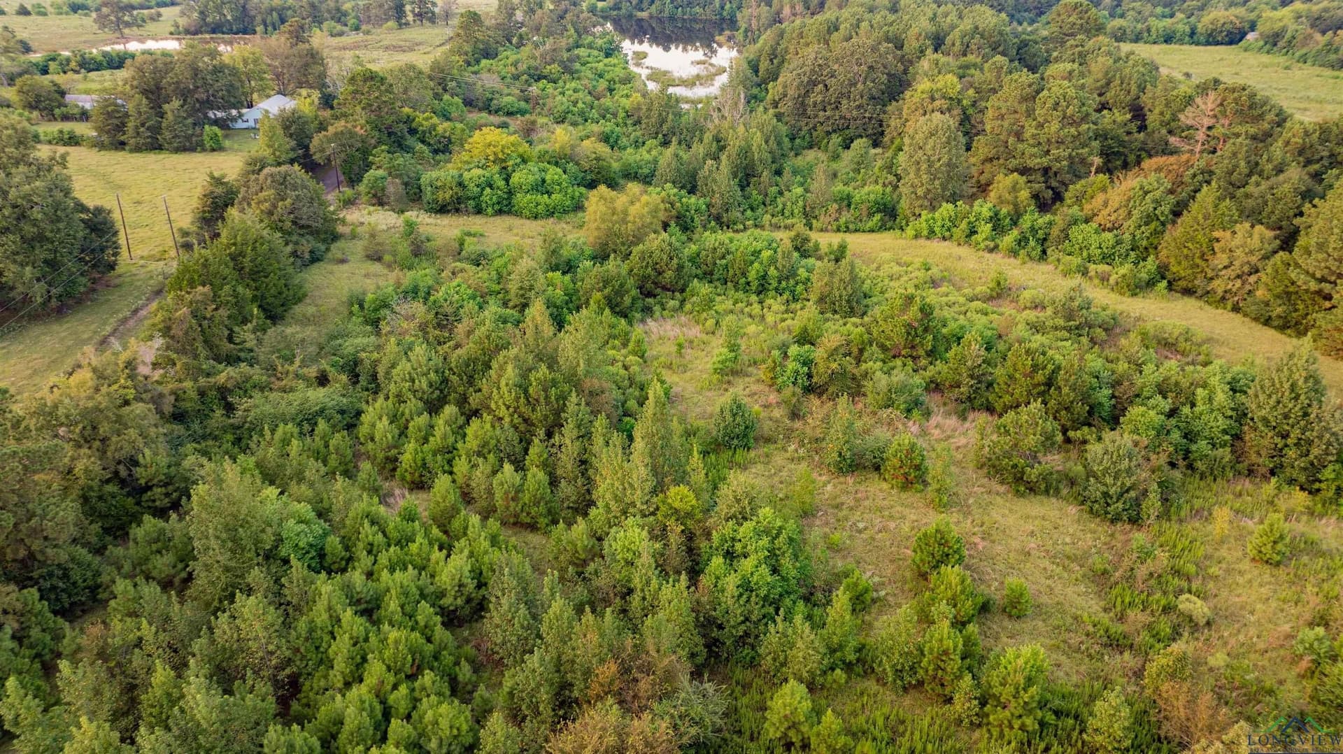 22.17 acres in Panola County - photo 37