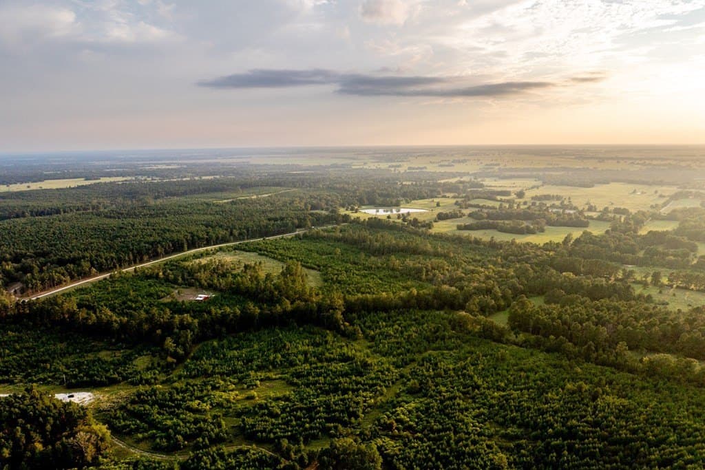 10.01 acres in HOUSTON County - photo 10