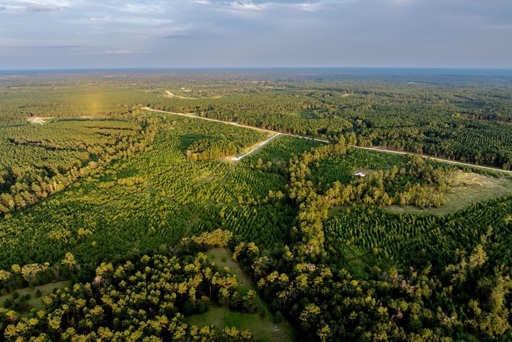 10.01 acres in HOUSTON County - photo 16