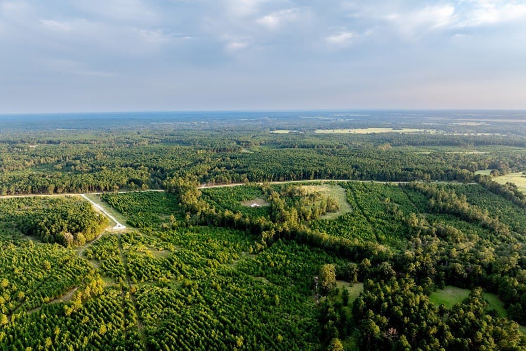 10.01 acres in HOUSTON County - photo 13