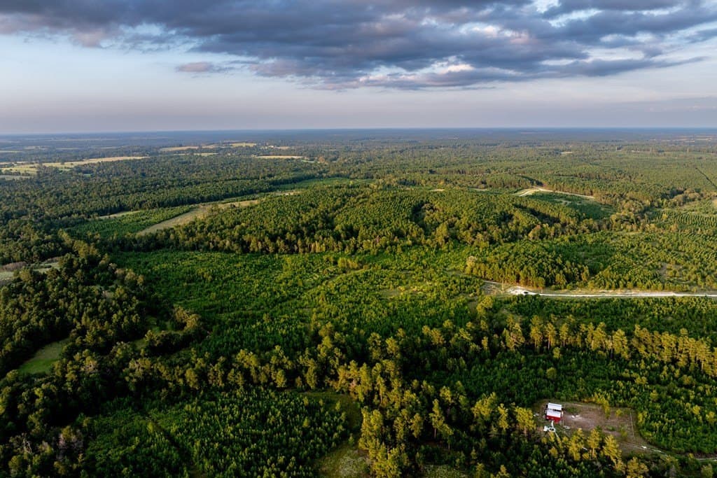 10.01 acres in HOUSTON County - photo 21