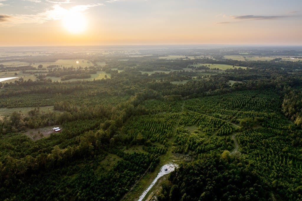 10.01 acres in HOUSTON County - photo 28