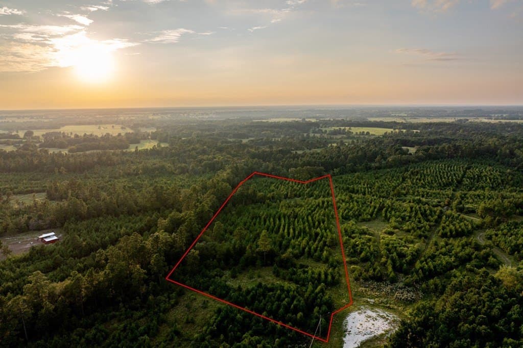 10.01 acres in HOUSTON County - photo 5