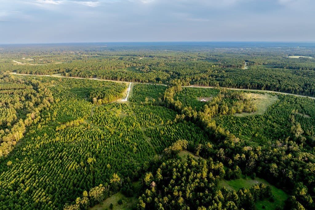 10.01 acres in HOUSTON County - photo 15