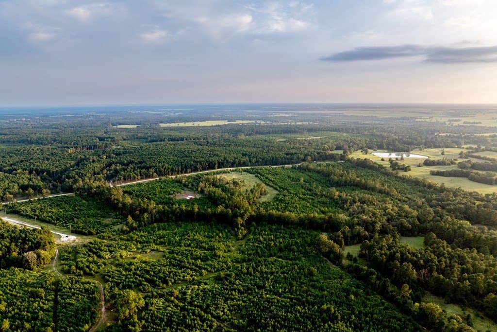 10.01 acres in HOUSTON County - photo 12