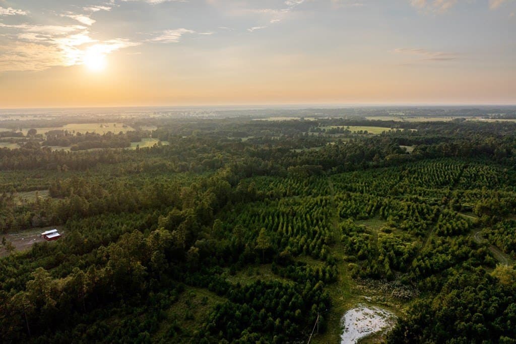 10.01 acres in HOUSTON County - photo 4