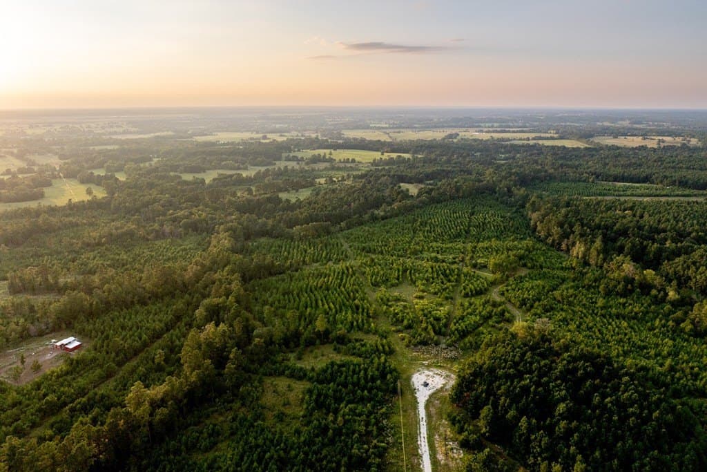 10.01 acres in HOUSTON County - photo 27
