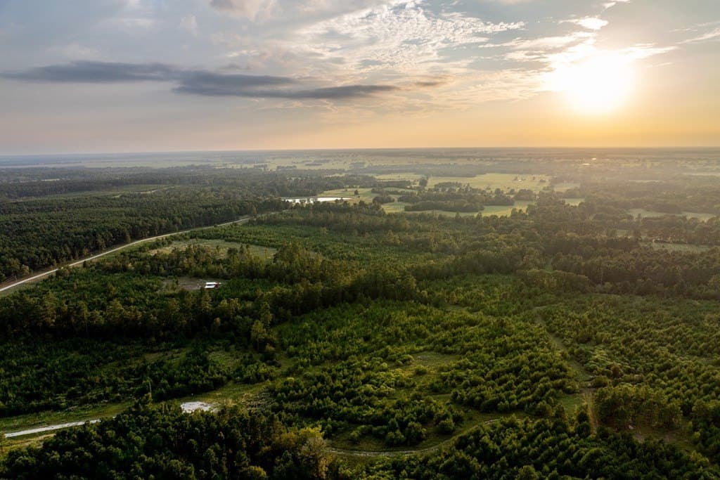 10.01 acres in HOUSTON County - photo 9