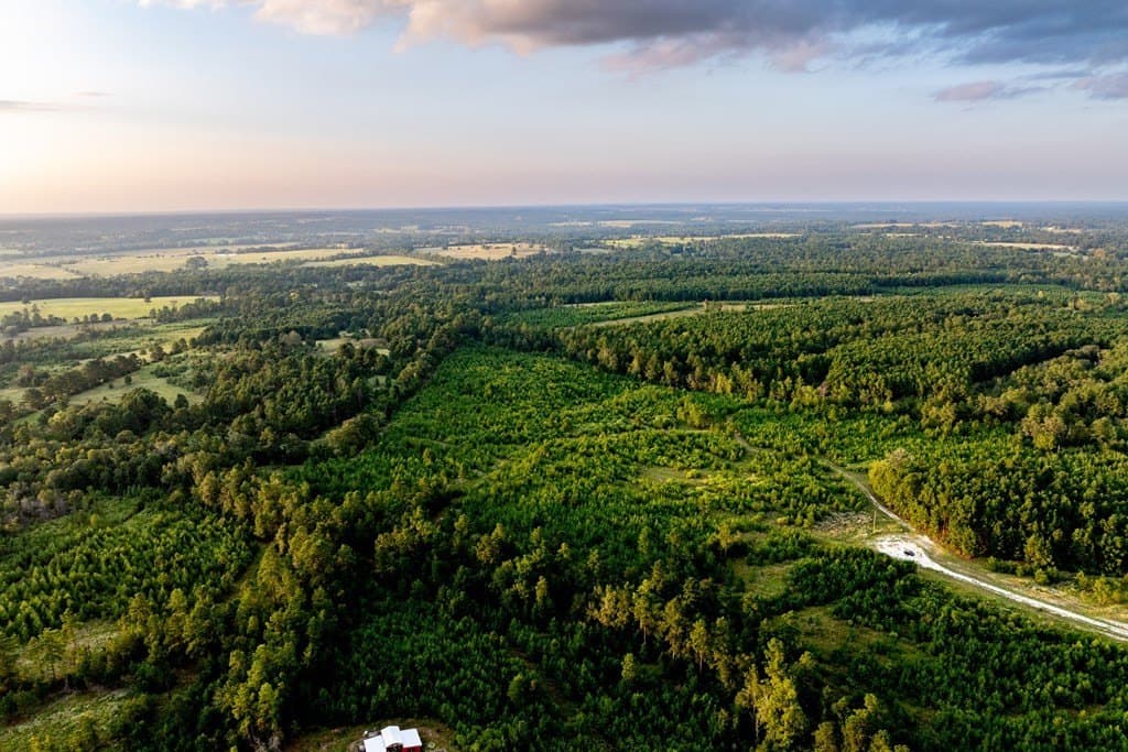 10.01 acres in HOUSTON County - photo 24