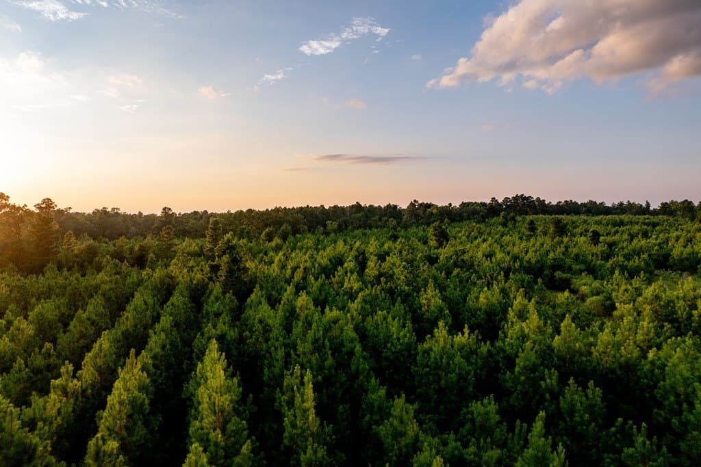 10.01 acres in HOUSTON County - photo 32