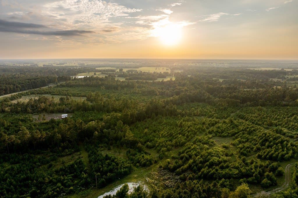 10.01 acres in HOUSTON County - photo 7