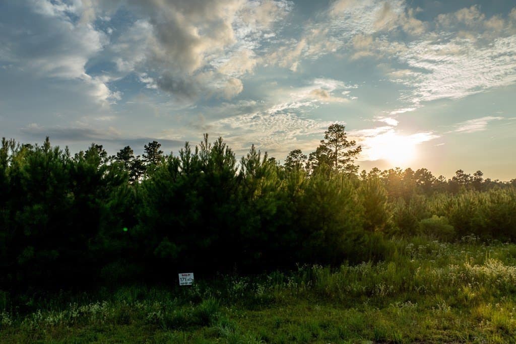 10.01 acres in HOUSTON County - photo 2