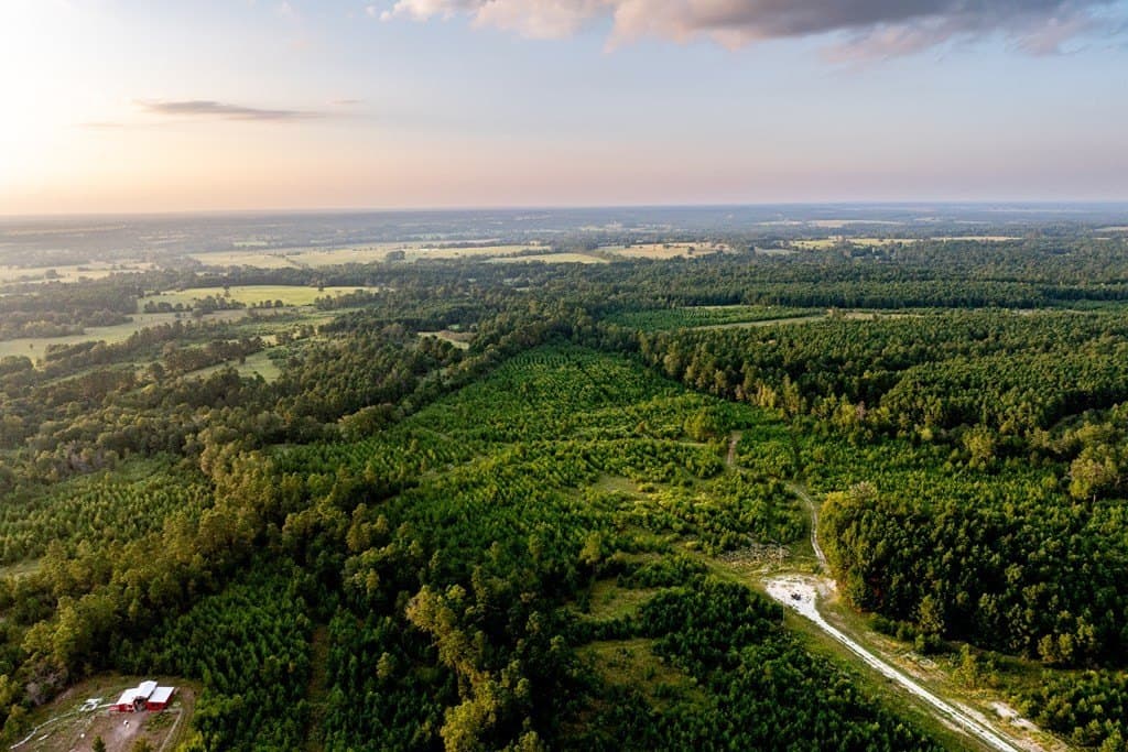 10.01 acres in HOUSTON County - photo 25