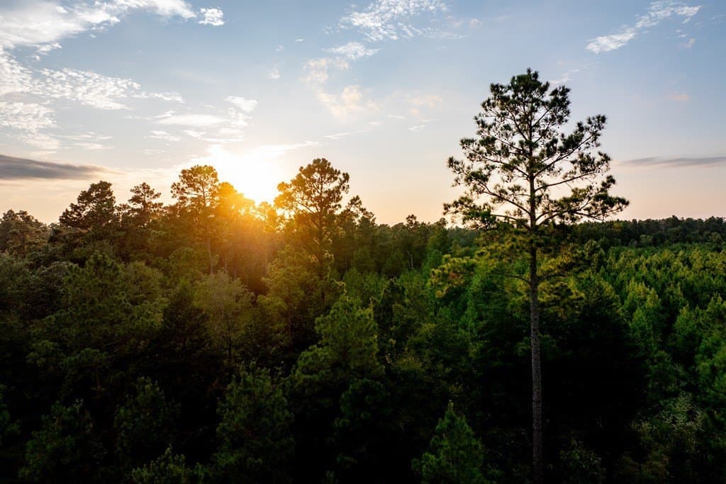 10.01 acres in HOUSTON County - photo 31