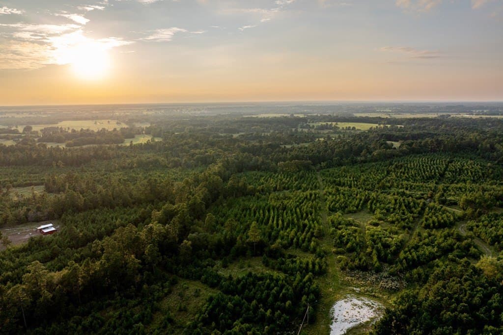 10.01 acres in HOUSTON County - photo 6