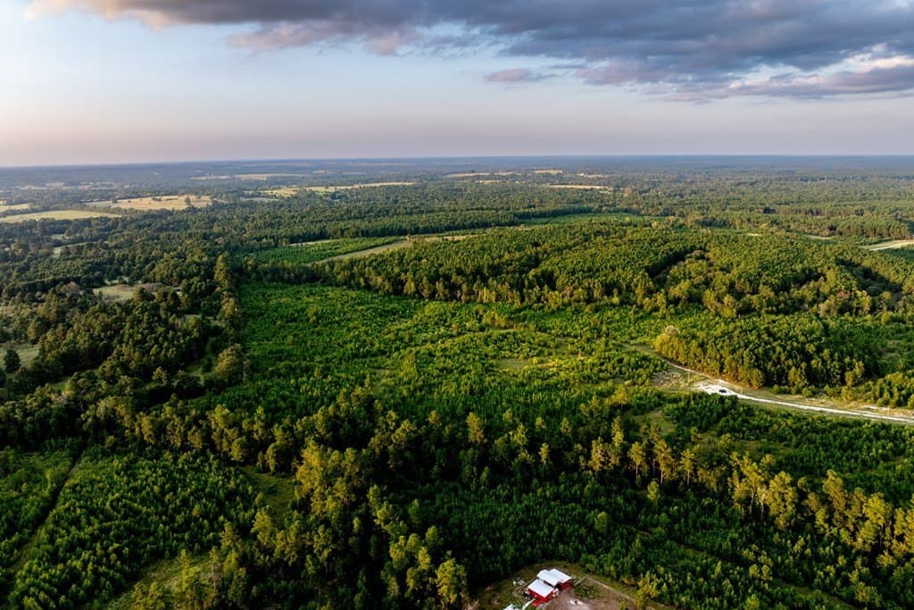 10.01 acres in HOUSTON County - photo 22