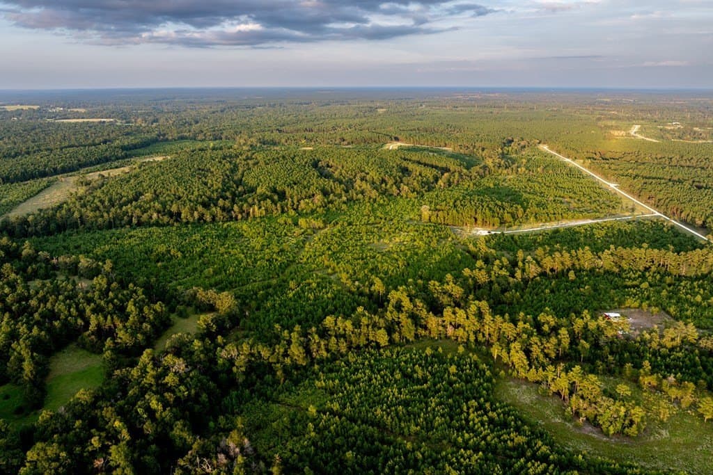 10.01 acres in HOUSTON County - photo 19
