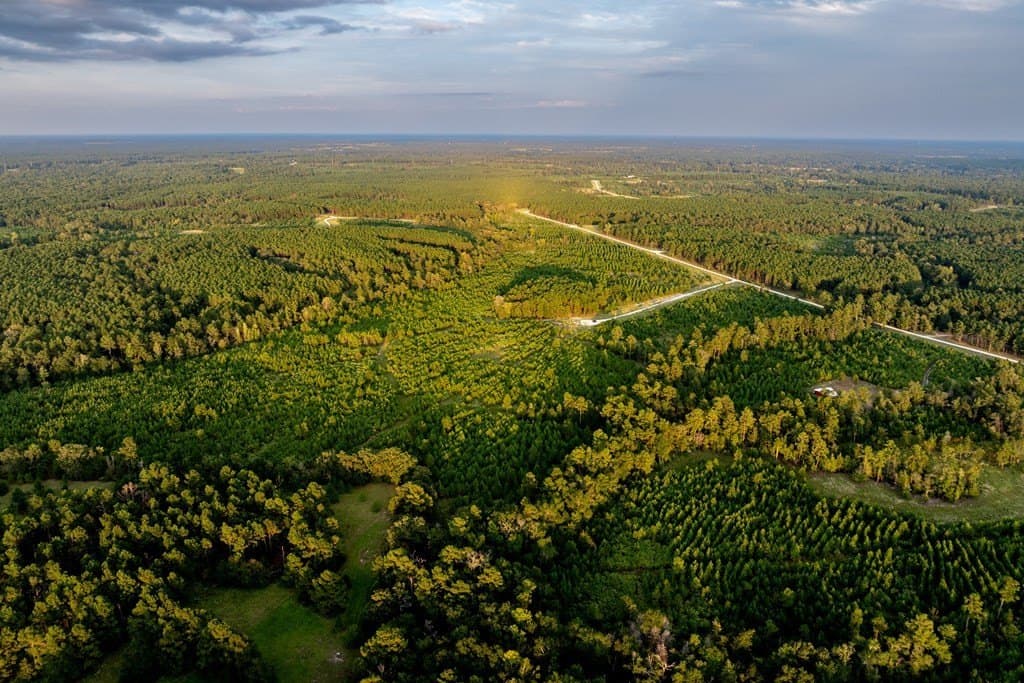 10.01 acres in HOUSTON County - photo 18