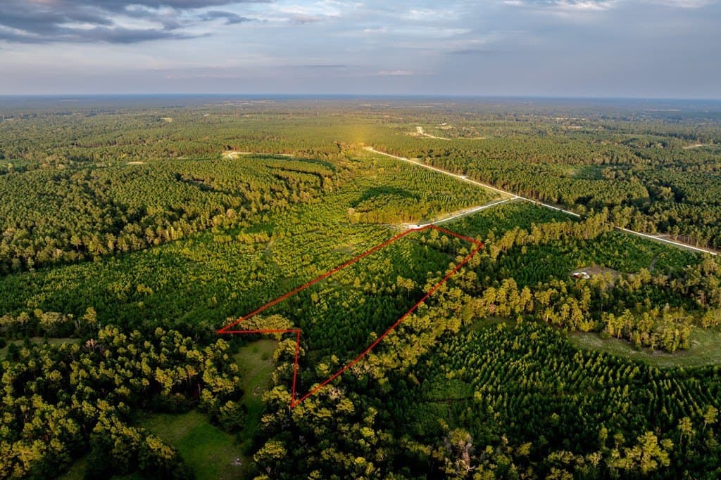 10.01 acres in HOUSTON County - photo 17