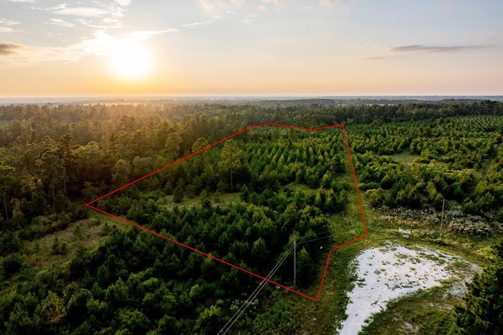 10.01 acres in HOUSTON County - photo 29