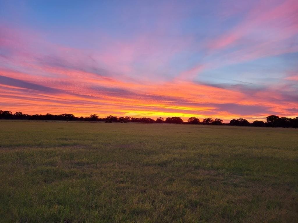 165 acres in Stephens County - photo 25