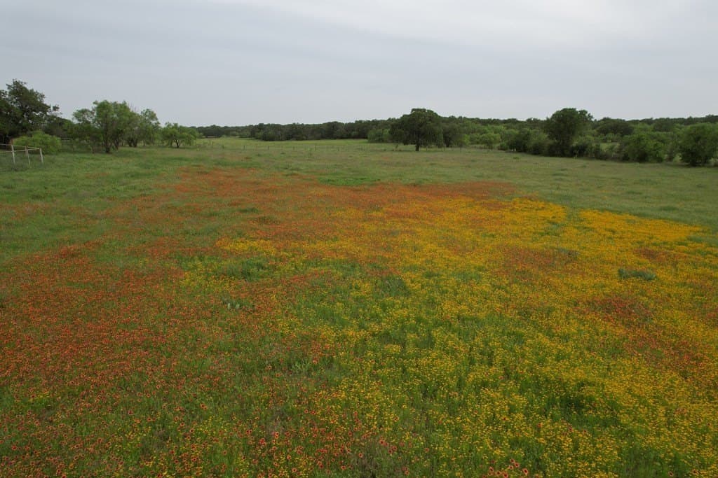 165 acres in Stephens County - photo 33