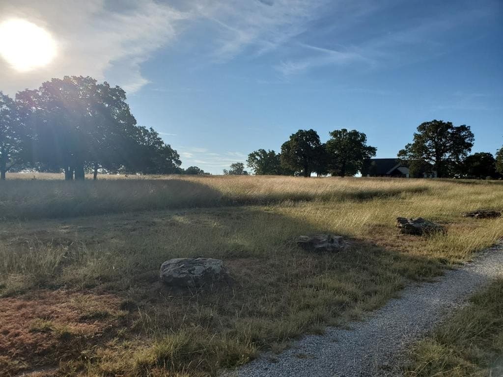 165 acres in Stephens County - photo 28