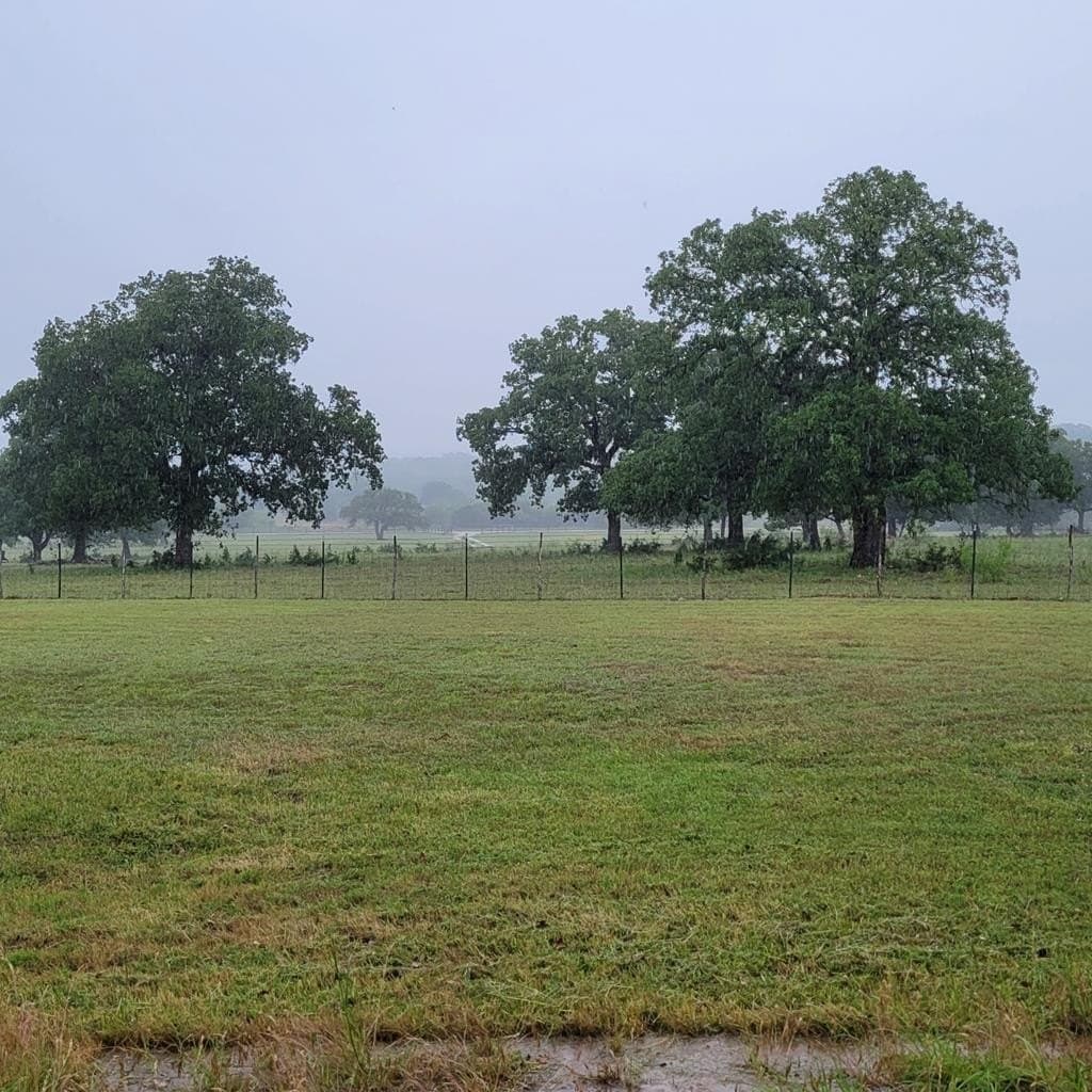 165 acres in Stephens County - photo 23