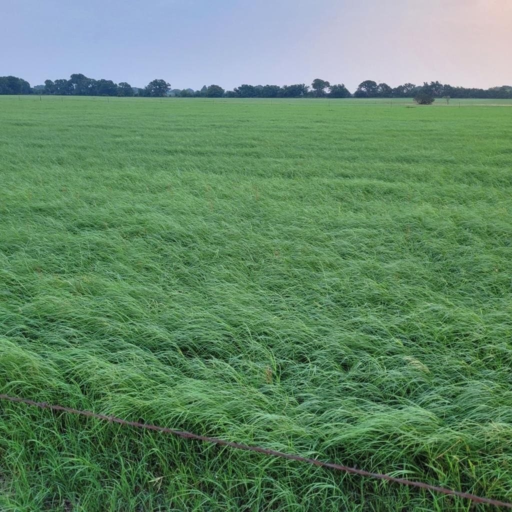 165 acres in Stephens County - photo 21