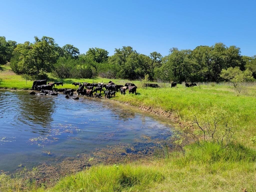 165 acres in Stephens County - photo 24