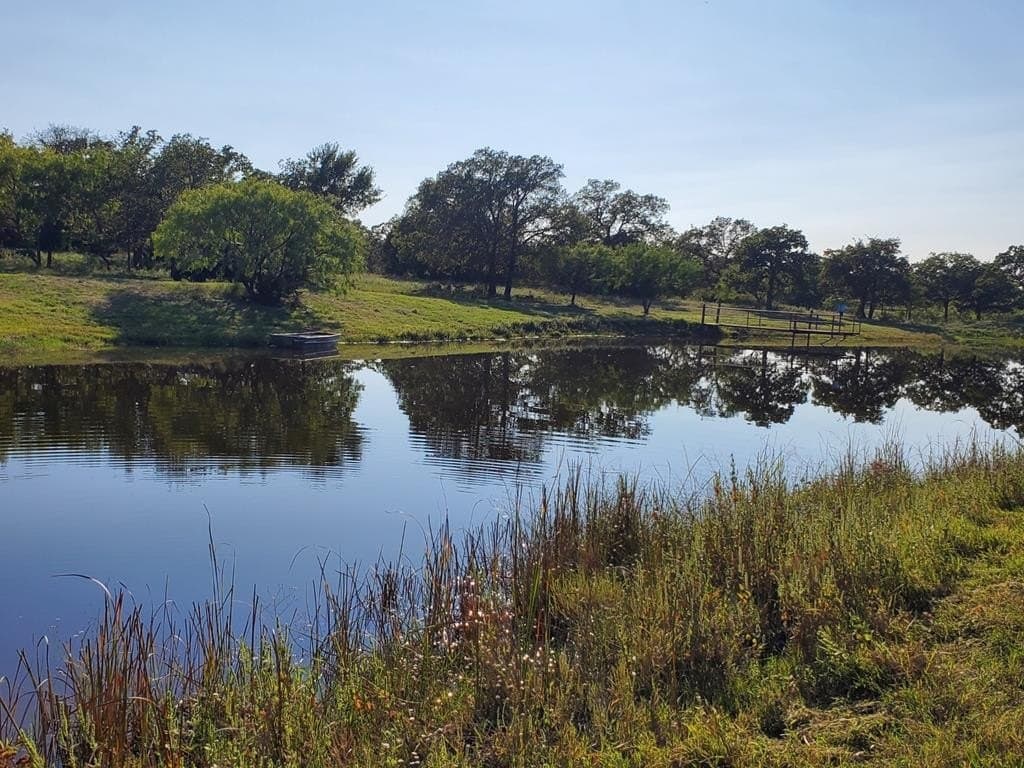 165 acres in Stephens County - photo 29