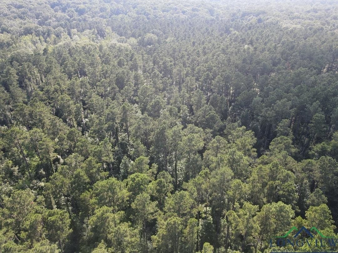 35.97 acres in Panola County - photo 6